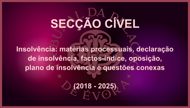 Insolvência: matérias processuais, declaração de insolvência, factos-índice, oposição, plano de insolvência e questões conexas (2018-2025)